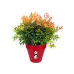 loft urban round 20cm cranberry red